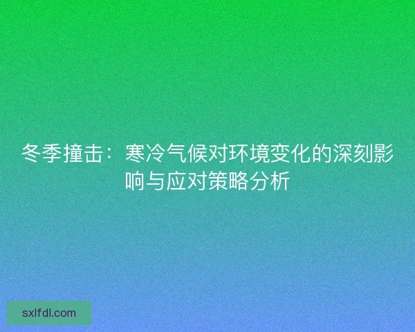 冬季撞击：寒冷气候对环境变化的深刻影响与应对策略分析