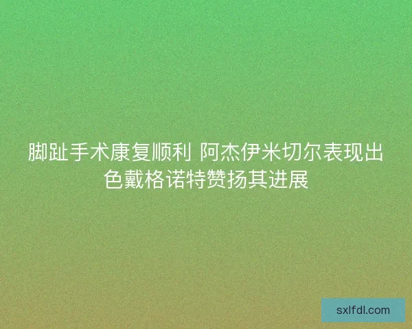 脚趾手术康复顺利 阿杰伊米切尔表现出色戴格诺特赞扬其进展